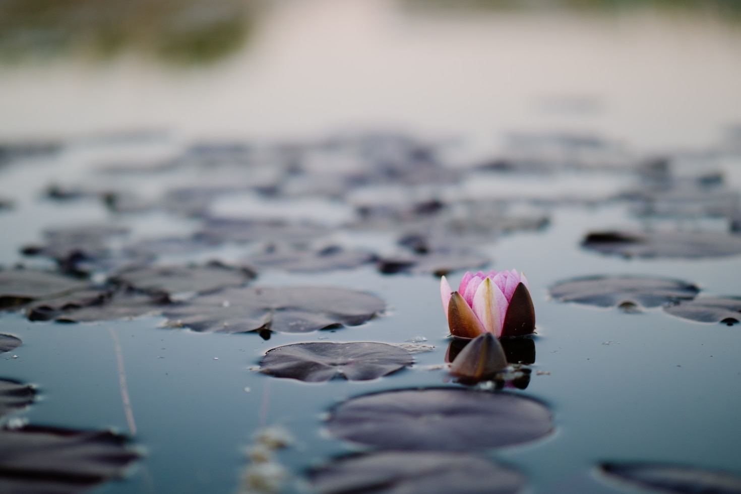 Empowering Stories of Overcoming Narcissistic Abuse