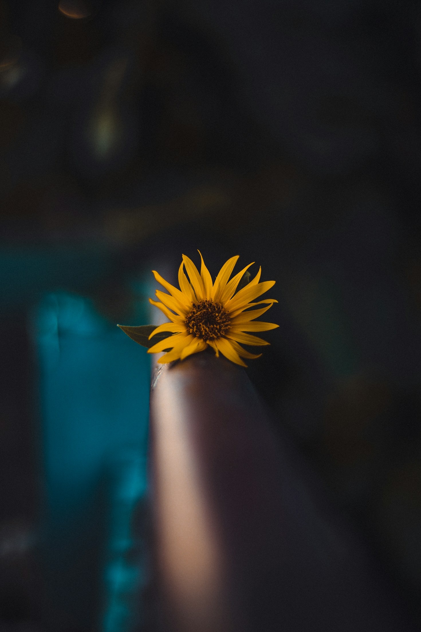 Healing the Soul: A Path to Personal Transformation